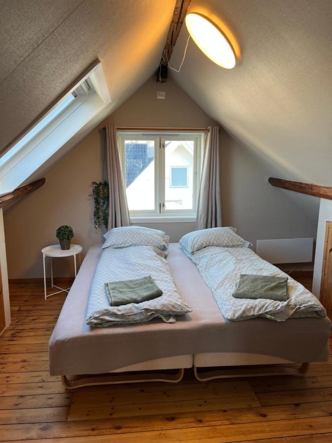 Large & Cozy Stavanger Apt Apartment